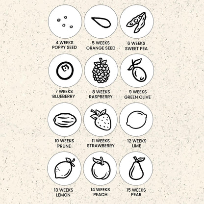 EARLY MISCARRIAGE PAPERCLIP BRACELET - Avy + Tay